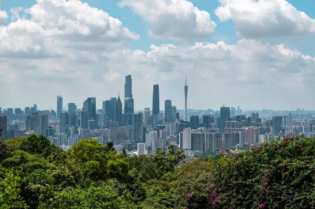 新中式实木沙发选购指南:龙天红木小镇产品参数对比分析