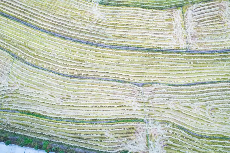 新中式实木沙发榫卯工艺的技术传承与现代改良方向