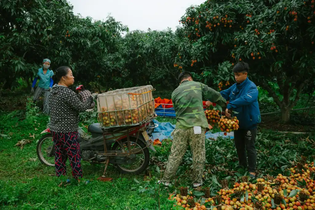 年年红新中式实木沙发与茶台定制方案技术优势对比
