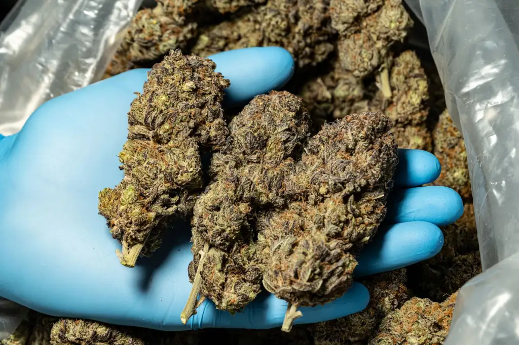 新中式红木家具定制工艺中传统木作与现代设计的融合要点