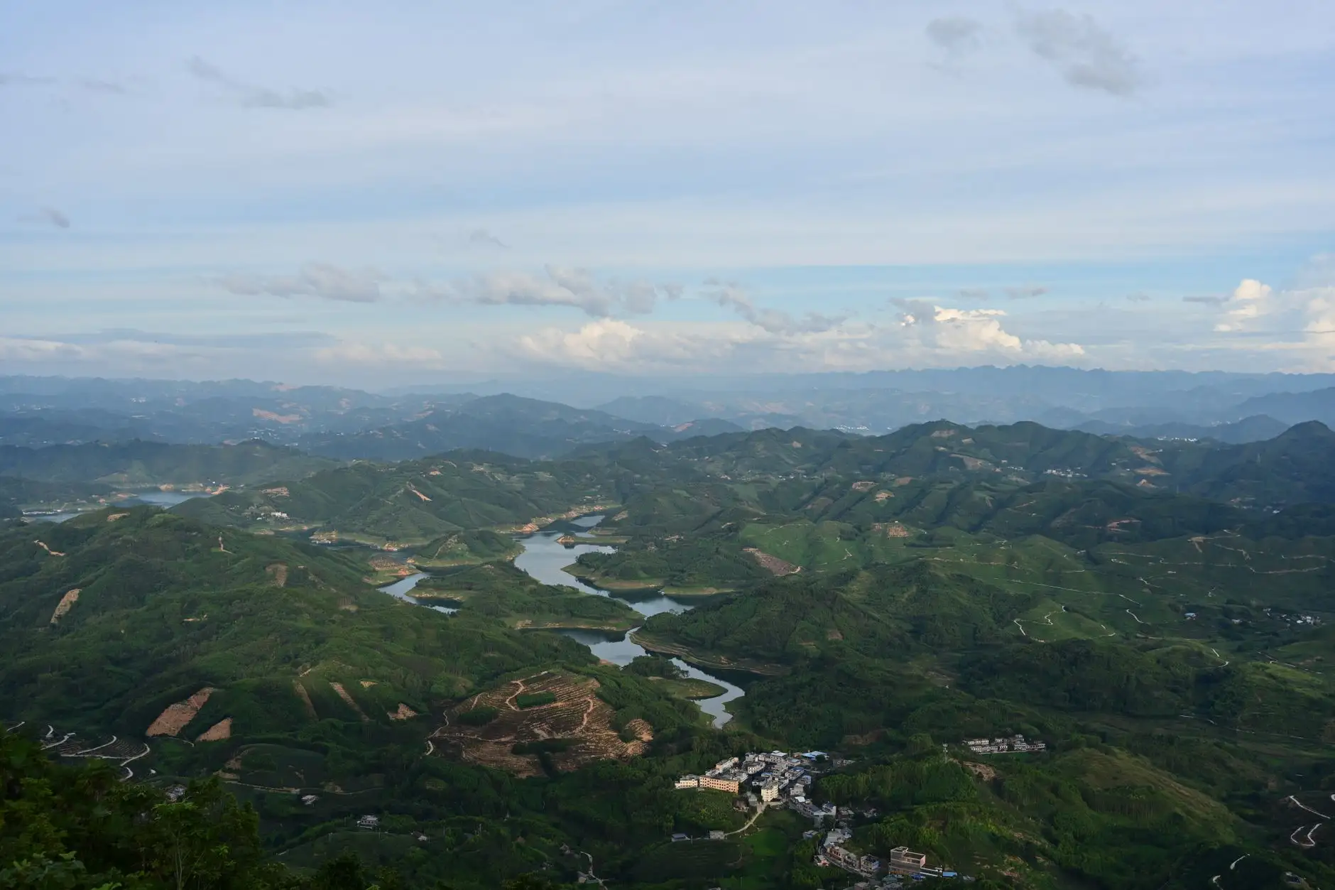 新中式红木家具定制服务全流程与质量管控要点解析