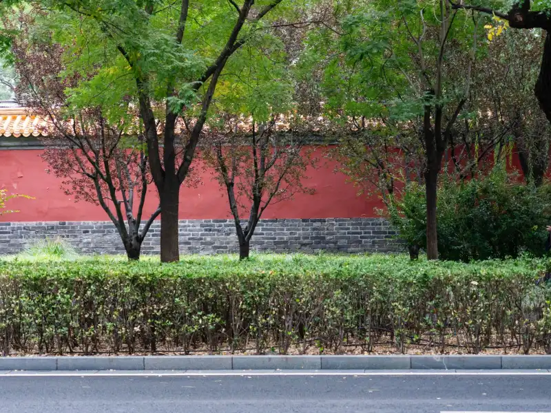 新中式实木沙发选购指南:龙天红木小镇产品参数对比分析