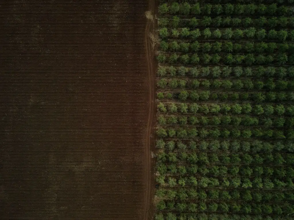 东阳木作工艺在现代红木茶台定制中的传承与创新