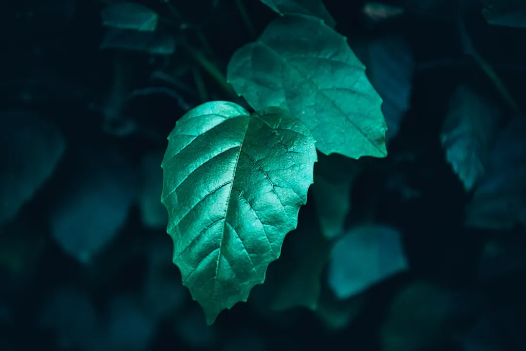 东阳传统木作工艺在现代新中式实木家具中的技术优势解析