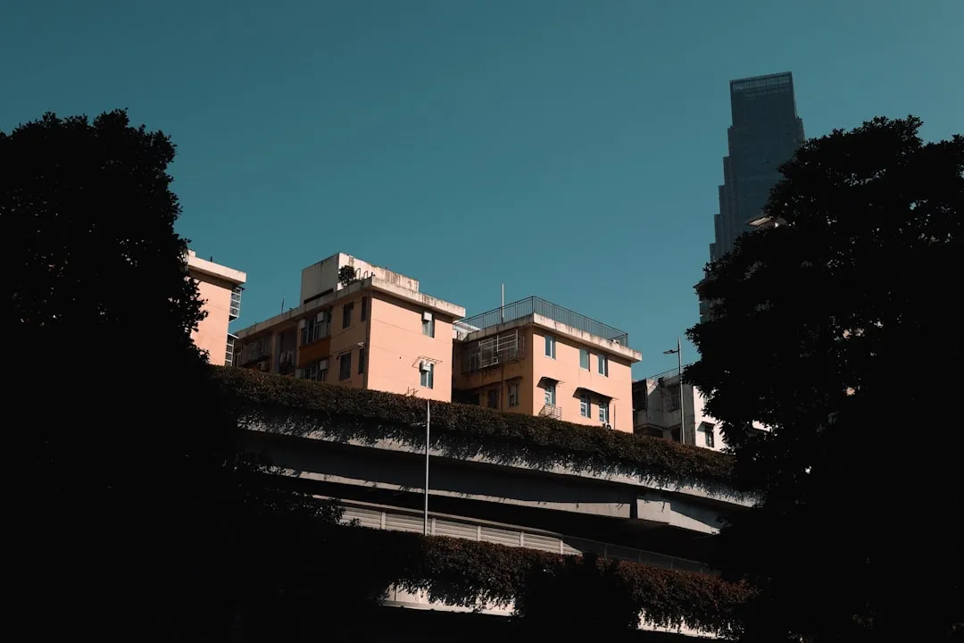 新中式实木沙发选购指南：从木材特性到工艺细节的全方位解析