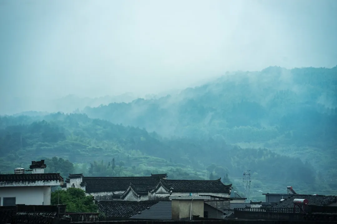 2026新中式红木家具定制趋势：从茶台到全屋空间的工艺革新