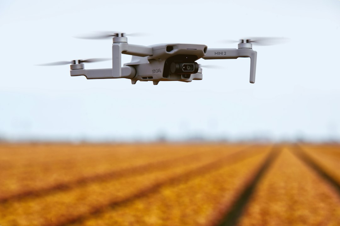 新中式实木沙发怎么选？东阳木作工艺与红木家居的搭配指南